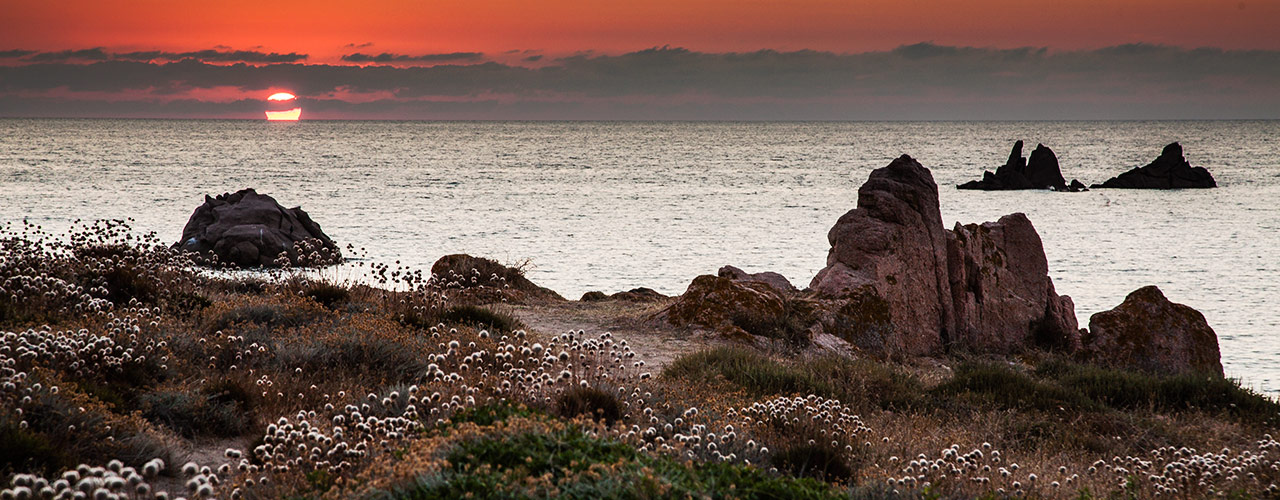 Immagini delle migliori Spiagge di Gallura