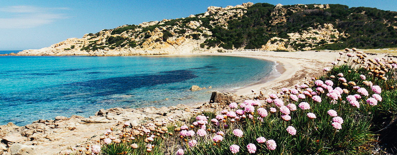 Immagini Spiaggia Monti Russu, Vignola